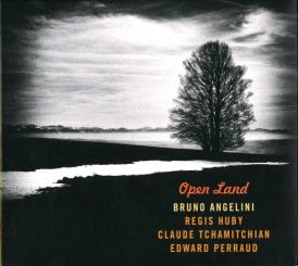Cover: Angelini_Bruno_Open_Land