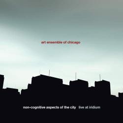 Cover: Art_E_O_Chicago_Non_Cognitive_Aspects