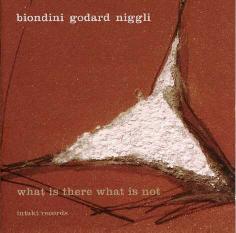 Cover: Biondini_Luciano_What_There_What_Not