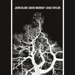 Cover: Blum_John_Recursive_Tree