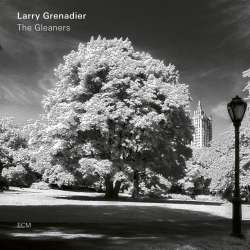 Cover: Grenadier_Larry_Gleaners