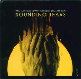 Cover: Maneri_Mat_Sounding_Tears