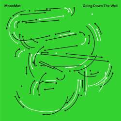 Cover: MoonMot_Going_Down_The_Well