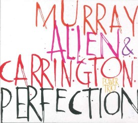 Cover: Murray_David_Perfection