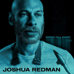 Cover: Redman_Joshua_Words_Fall_Short